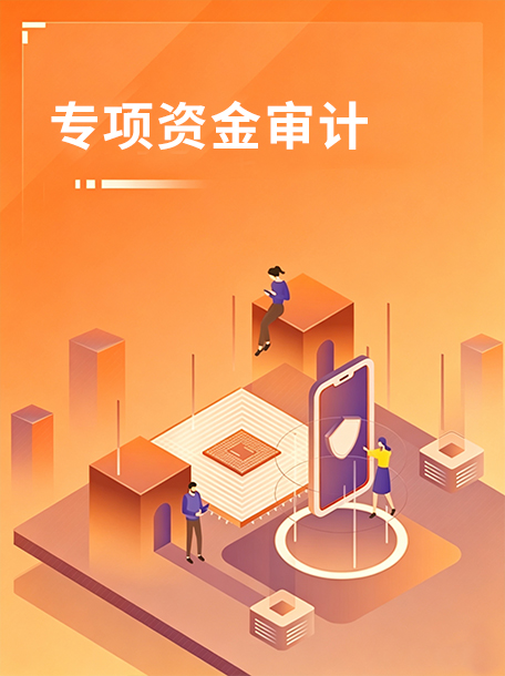 专项资金审计.jpg