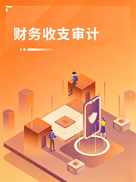 财务收支审计.jpg